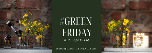 Green Friday Unwrapped: A Guide to Our Exclusive Early Access