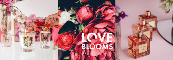 Love Blooms: A Fragrance Odyssey Through Our Enchanted Garden
