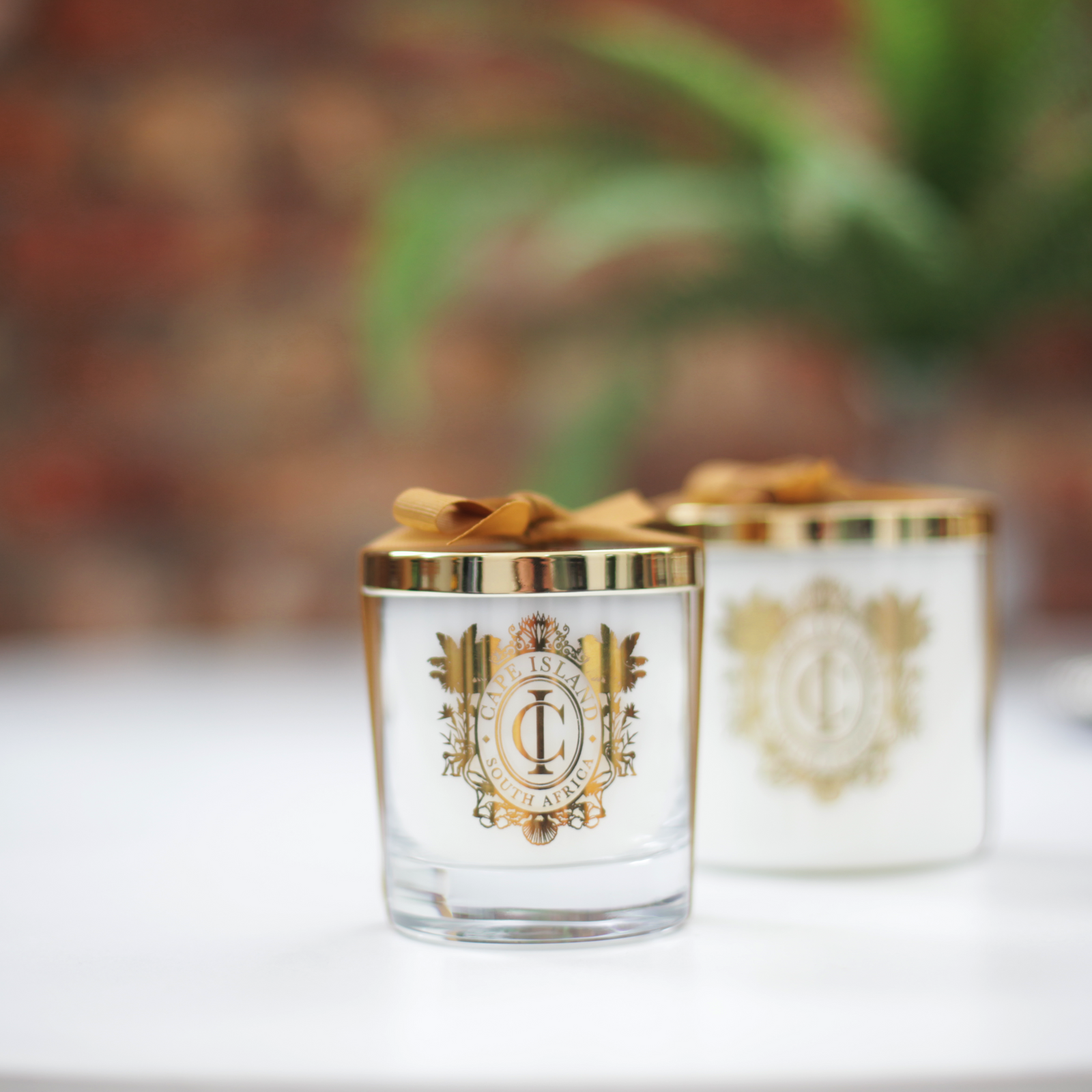 Black Gold Large Candle with Lid – Cape Island